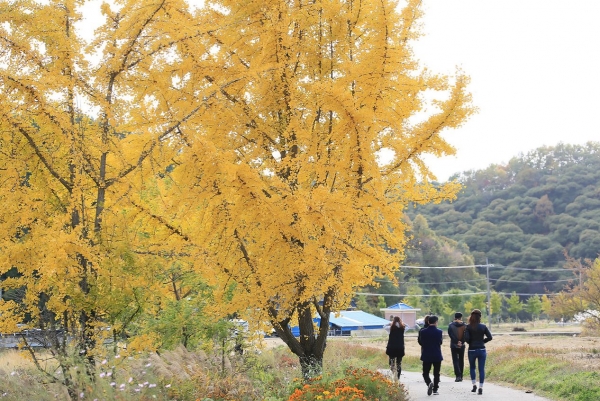 청라은행 마을