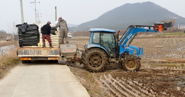 태안군 근흥면 두야리 토양개량제 공동살포단이 마을 영세농가의 논에 규산질 비료를 살포하고 있는 모습.