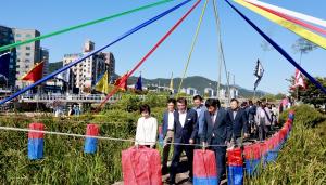 【포토】보령의 안녕을 기원하며...만세보령문화제‘한내돌다리 밟기’